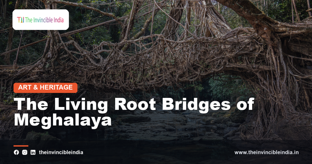A living root bridge grown from tree roots across a stream in Meghalaya