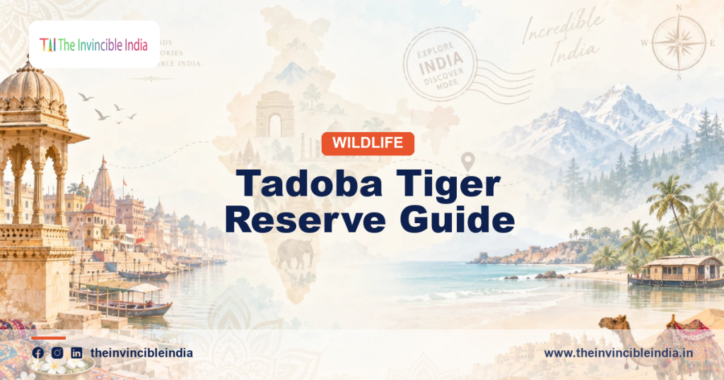 Map-style banner for a Tadoba National Park safari and travel guide in Chandrapur, Maharashtra
